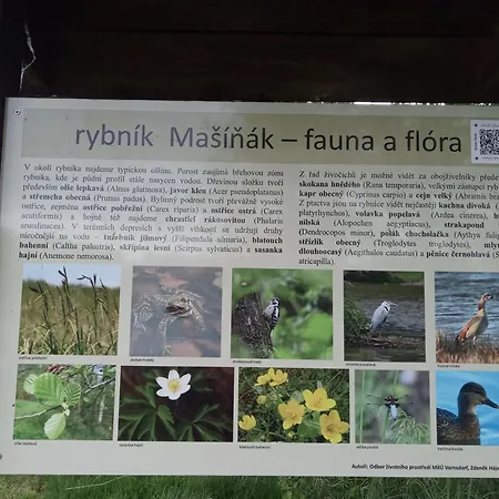 Koliba Varnsdorf Casa de Férias